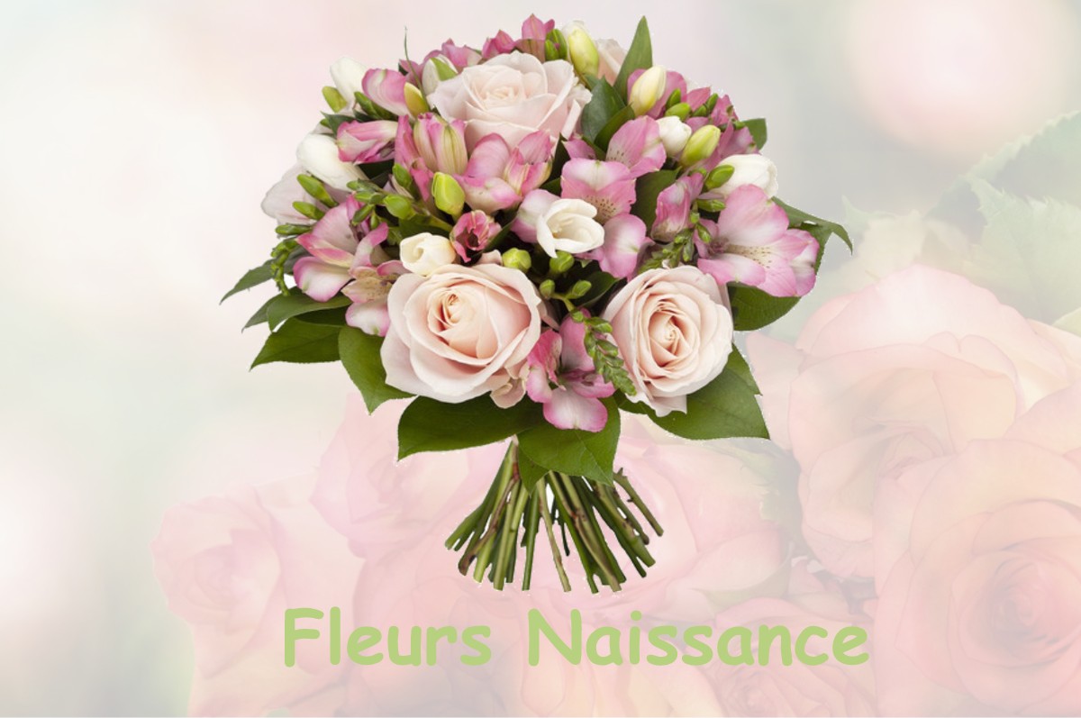 fleurs naissance ANDON