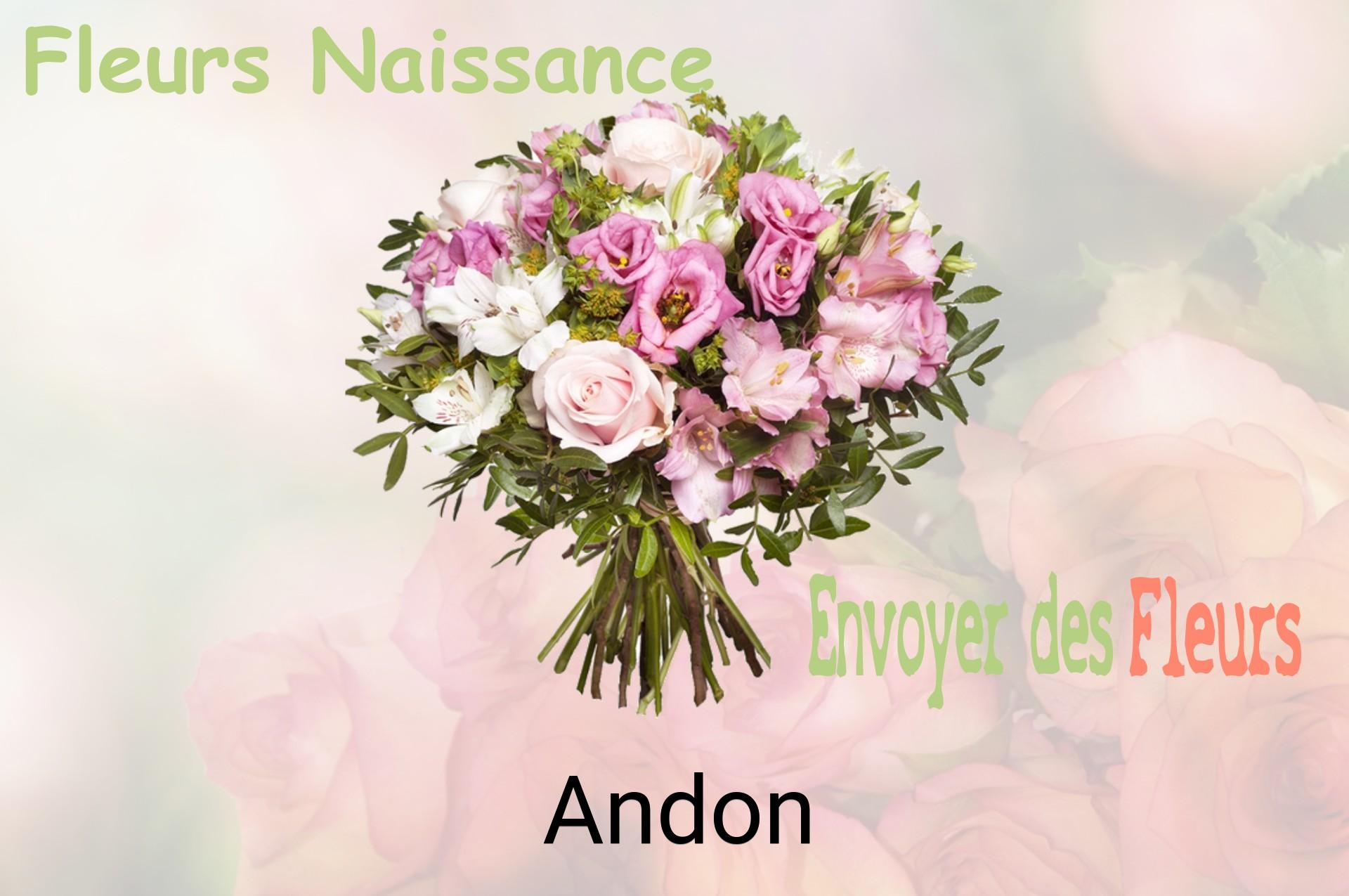 Bouquet de fleurs de naissance livré à Andon