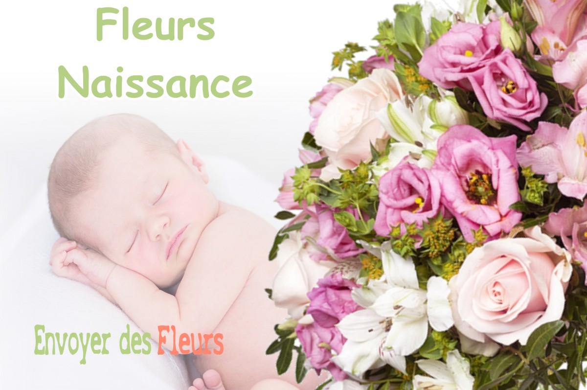 lIVRAISON FLEURS NAISSANCE à ANDON